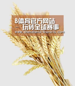 B体育官方网站 - 玩转全球赛事 | Bsports